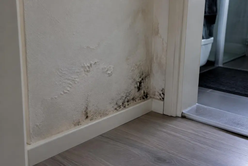Lekdetectie Nieuwerkerk aan den IJssel – vochtplek met schimmel op een muur